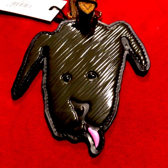 Louis Vuitton Accessories - Louis Vuitton catogram Doggy